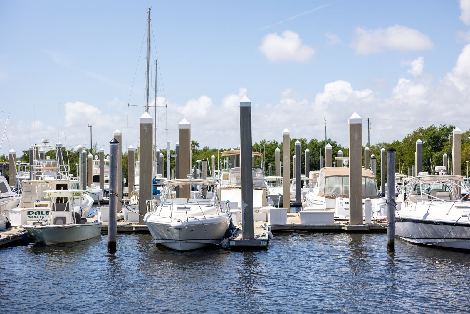 15 Days / 14 Nights Aotearoa Discovery Trail